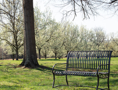 Stay in the Loop – Join the Friends & Family e-Newsletter