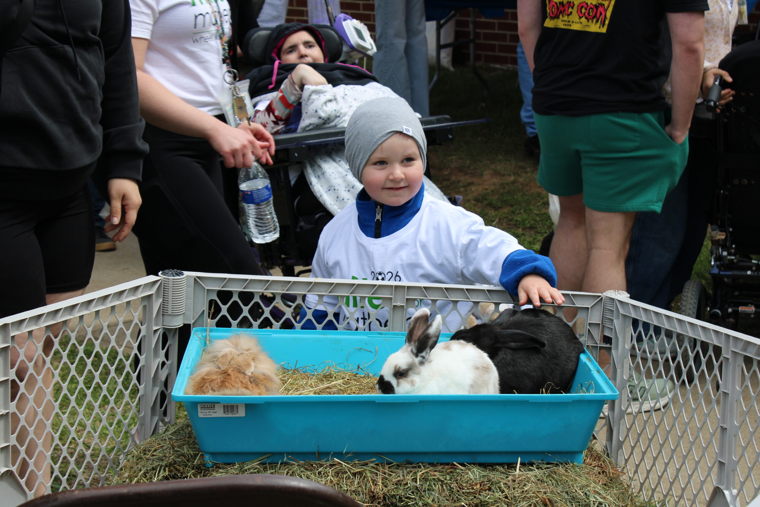 IMG_2565_bunnies-petting zoo